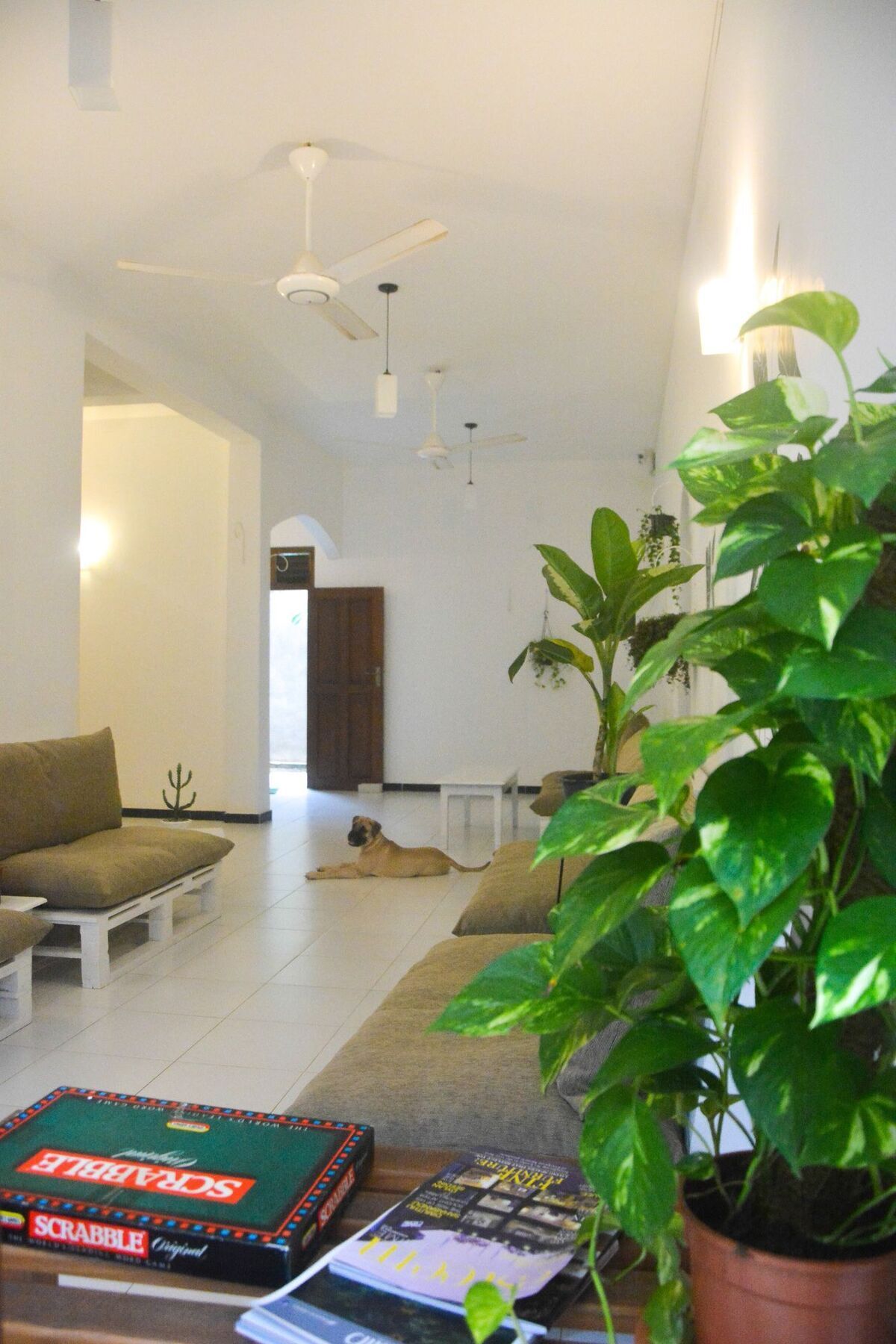 Welche sind die besten Hotels in der Nähe von Our Turtle Conservation Project? Dehiwala-Mount Lavinia Exterior foto